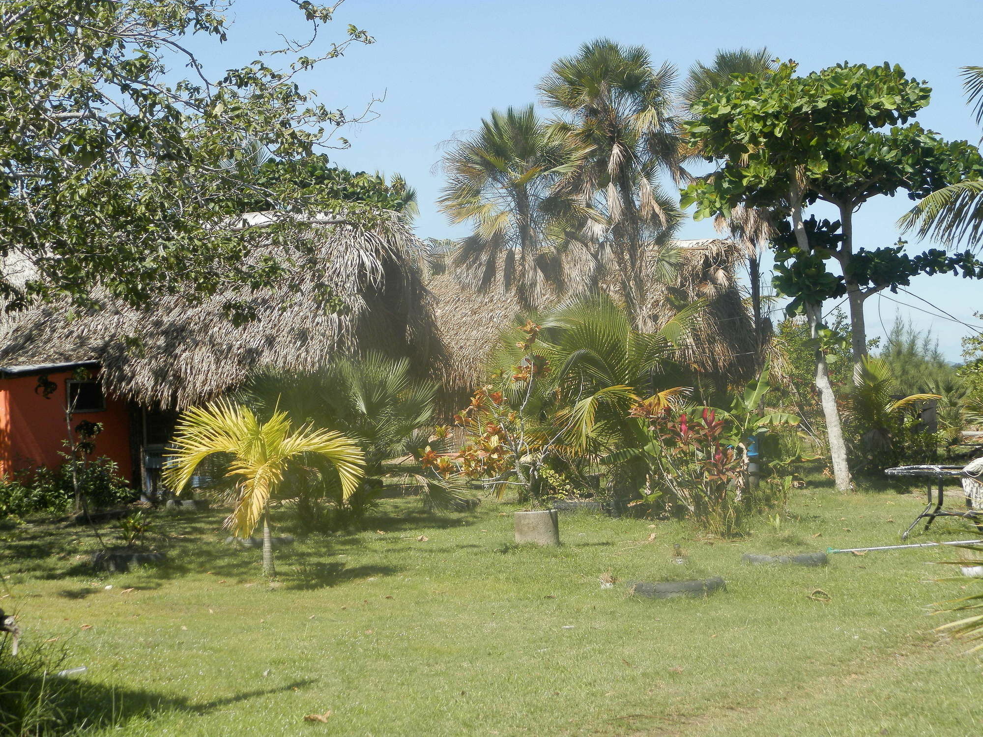 Palmento Grove Cultural And Fishing Lodge Χόπκινς Εξωτερικό φωτογραφία