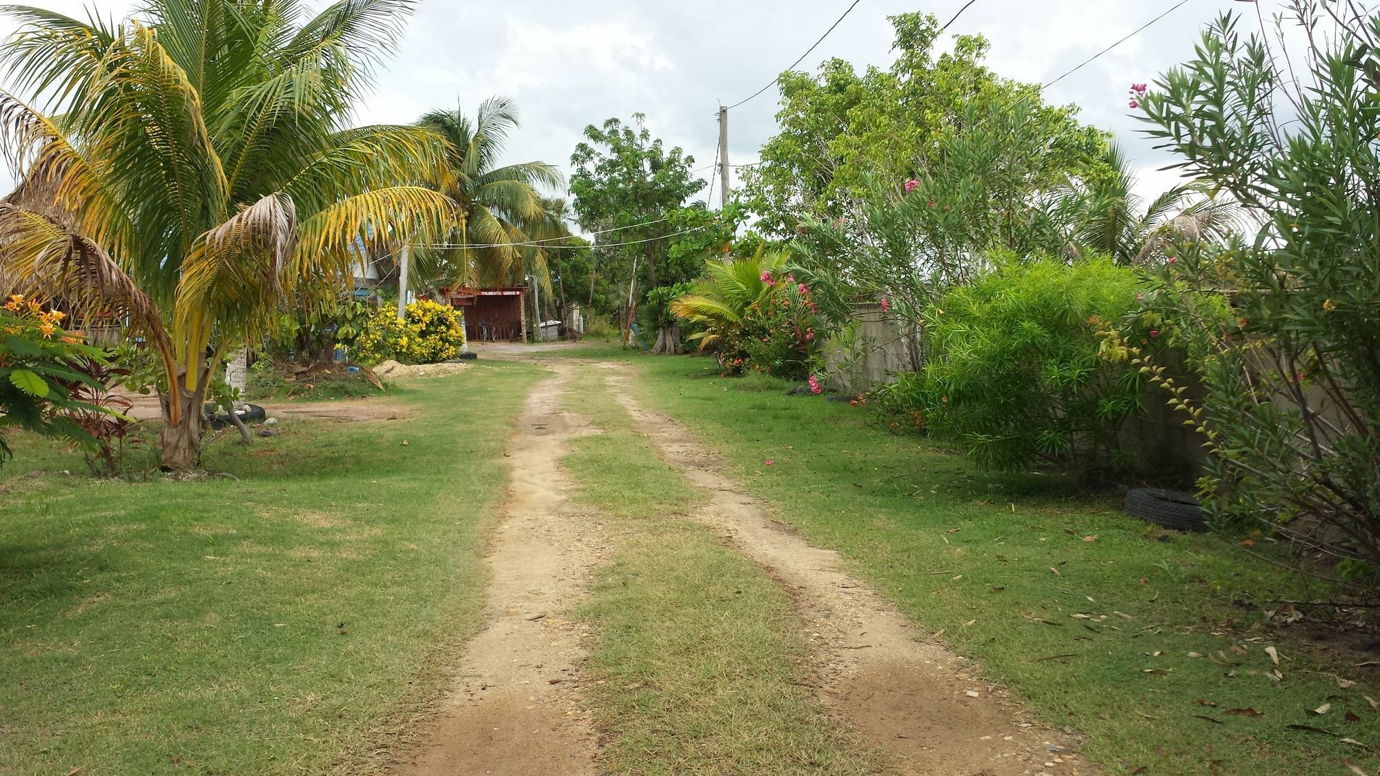 Palmento Grove Cultural And Fishing Lodge Χόπκινς Εξωτερικό φωτογραφία