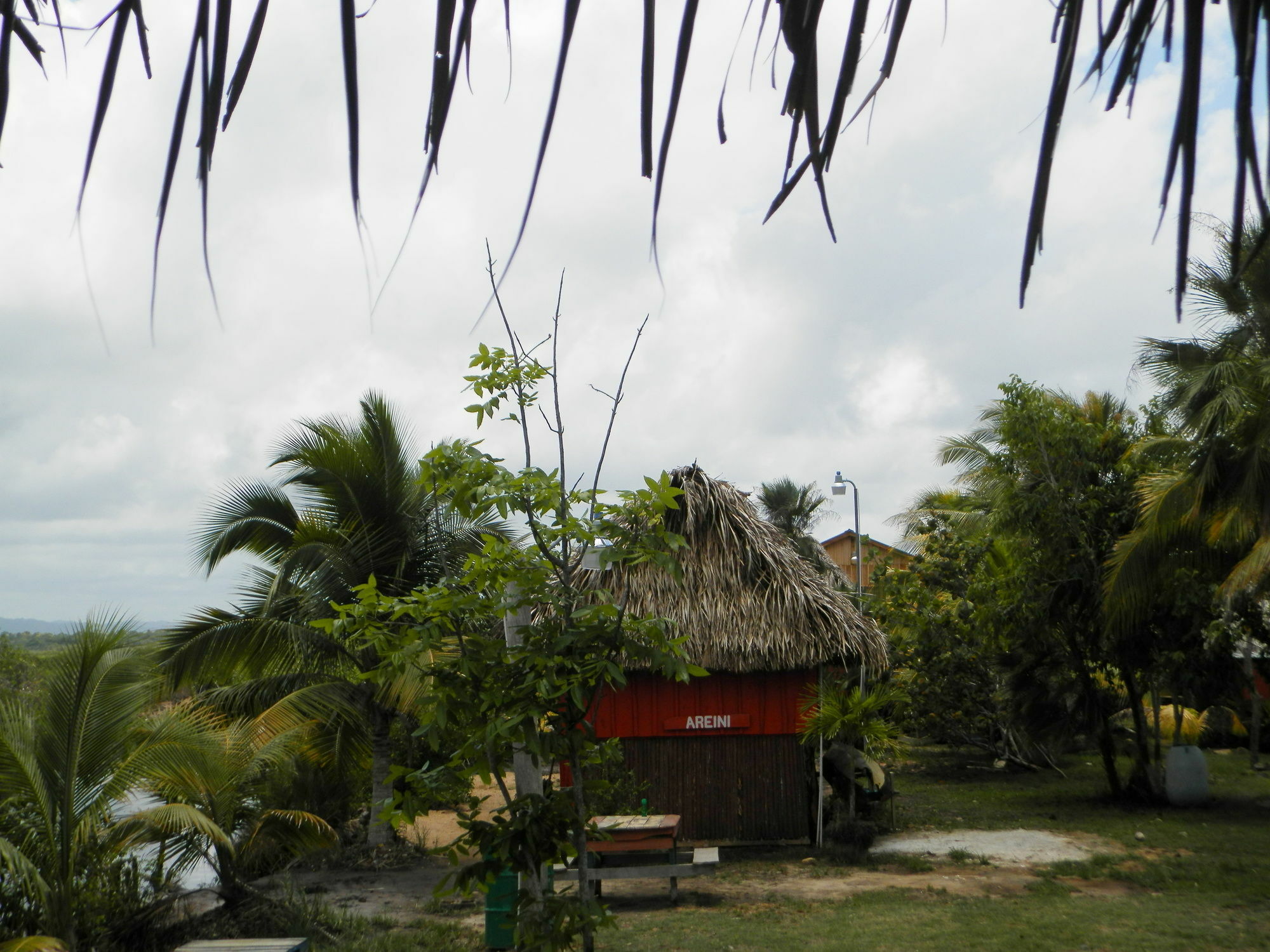 Palmento Grove Cultural And Fishing Lodge Χόπκινς Εξωτερικό φωτογραφία